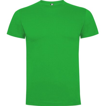 Футболка мужская "Dogo Premium" 165, 3XL, светло-зеленый