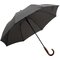 Зонт-трость "EARL", серый