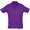Рубашка-поло мужская "Summer II" 170, S, х/б, фиолетовый  