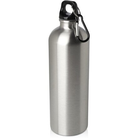 Бутылка для воды с карабином "Oregon", серебряный