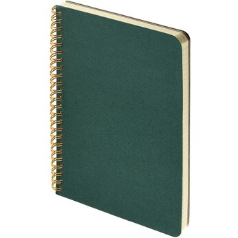 Бизнес тетрадь на гребне А5 "Pragmatic", 60 листов в клетку, зеленый