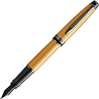 Перьевая ручка Waterman Expert Gold , золотистый/серебристый/черный