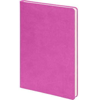 Блокнот А5 "FunkyPlan", розовый/голубой