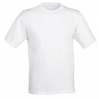 Футболка мужская "Evolution FutbiTex" 140-150, 4XL (58), белый