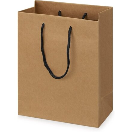 Пакет подарочный Kraft S, 23x30x12 см
