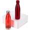 Подарочный набор с термосом и бутылкой «Bottle set», красный