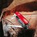 Нож карманный "SwissChamp 1.6795" красный