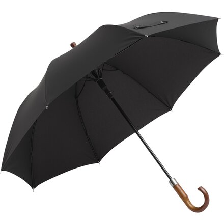 Зонт-трость "EARL", черный