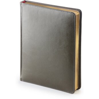 Ежедневник недатированный "Sidney Nebraska" серый, срез золотистый