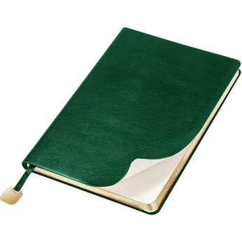 Ежедневник недатированный "Flexy Buffalo", зеленый, срез золотистый