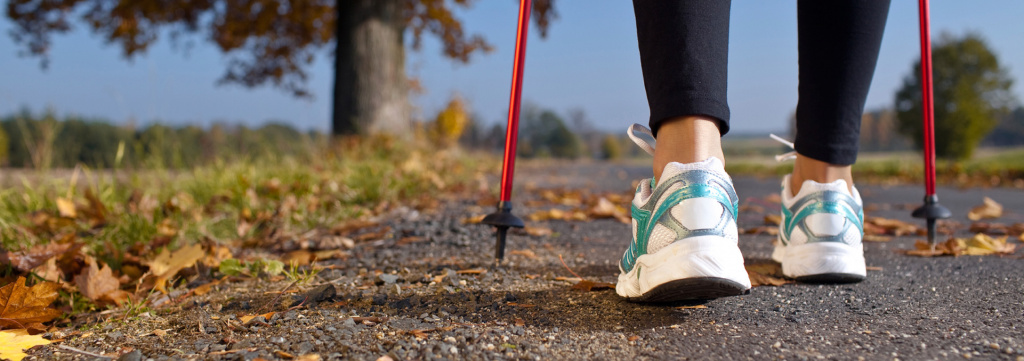 спорт палки.jpg